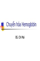Chuyển hóa hemoglobin