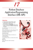Database application programming interface