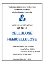 Bài tập môn hóa học thực phẩm. cellulose và hemicellulose