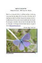 Định lý con bướm hình học