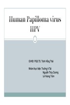 Tiểu luận human papilloma virus hpv
