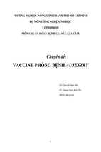 Vaccine phòng bệnh aujeszky