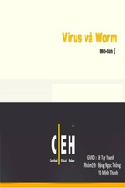 Virus và worm mô-đun 7