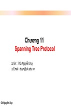 C11-spanning tree protocol