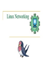 Linux networking