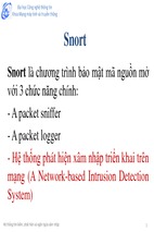 Snort là chương trình bảo mật mã nguồn mở