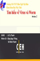 Tìm hiểu về virus và worm