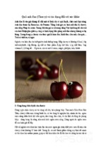 Quả anh đào (cherry) và tác dụng đối với sức khỏe