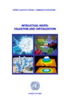 Mba - intellectual assets valuation and capitalization