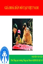 Báo cáo già hóa dân số tại việt nam - nguyễn văn tân