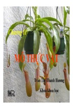 Bài giảng Thực vật và phân loại thực vật - Chương 2: Mô thực vật
