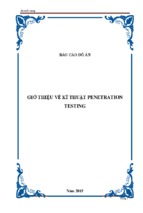 Giới thiệu về kĩ thuật penetration testing ,Kỹ thuật kiểm thử xâm nhập