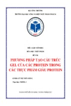 Bài tiểu luận phương pháp tạo cấu trúc gel của các protein trong các thực phẩm giàu protein