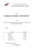Báo cáo đánh giá tác động môi trường: Xác định vấn đề môi trường quan trọng của dự án xây dựng công ty TNHH thuốc BVTV Sài Gòn (nhóm 9)