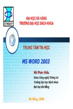 Ms word 2003