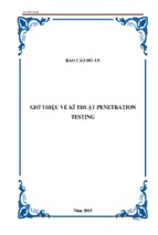 Giớ thiệu về kĩ thuật penetration testing
