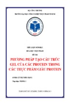 Bài tiểu luận phương pháp tạo cấu trúc gel của các protein trong các thực phẩm giàu protein