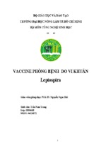 Vaccine phòng bệnh do vi khuẩn leptospira