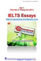 Ielts essays