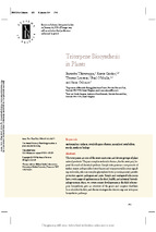Triterpene biosynthesis in plants