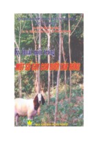 Ebook kỹ thuật nuôi trồng một số cây con dưới tán rừng   ts. võ đại hải (chủ biên) ( www.sites.google.com/site/thuvientailieuvip )