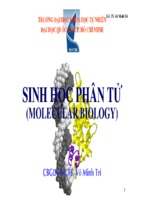 Bài giảng sinh học phân tử   gv.ts võ minh trí ( www.sites.google.com/site/thuvientailieuvip )