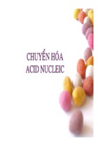 Bài giảng chuyển hóa acid nucleic ( www.sites.google.com/site/thuvientailieuvip )