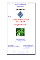 Luận văn Ly trích mangiferin từ lá xoài (Mangifera Indica L.)