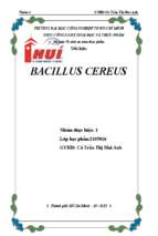 Tiểu luận bacillus cereus 