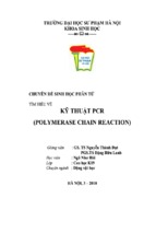 Tìm hiểu về kỹ thuật pcr (polymerase chain reaction)