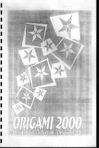 Convention origami usa 2000