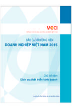 Ebook Báo cáo thường niên doanh nghiệp Việt Nam 2015: Phần 1