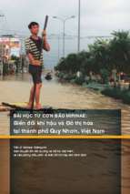 bài học từ cơn bão Mirinae: Biến đổi khí hậu và Đô thị hóa tại thành phố Quy Nhơn, Việt Nam