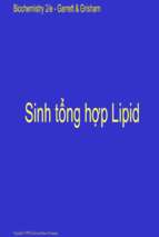 Bài giảng Sinh tổng hợp lipid