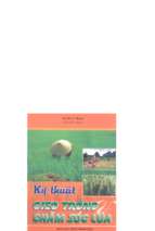 1.kỹ thuật gieo trồng và chăm sóc lúa