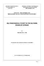 Multidimensional poverty in the southern region in vietnam in the south of vietnam