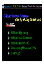 Client   server system ( các hệ thống khách chủ)