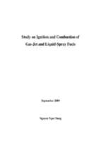 Study on ignition and combustion of gas jet and liquid spray fuels