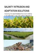 Salinity intrusion and adaptation solutions  assessing the transformation from rice paddies to shrimp farming as an approach to cope with salinity intrusion in ben tre province, vietnam