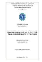 La commission rogatoire au vietnam – problèmes théoriques et pratiques
