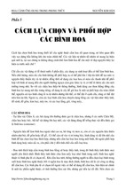 Hoa cảnh ứng dụng trong phong thủy phần 5