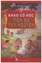 Vn - khao co hoc tien su tay nguyen