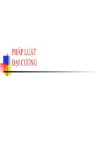 Slide bài giảng pháp luật đại cương
