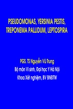 Giáo trình pseudomonas yersinia pestis treponema pallidum leptospira