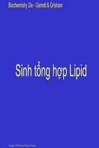 Sinh tổng hợp lipid