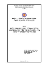 Phân tích hiệu quả từ hoạt động nhập khẩu và tiêu thụ hàng hóa của công ty cpđtcn trí tuệ trẻ