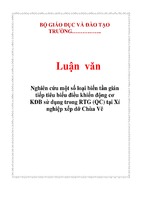 Luận văn nghiên cứu một số loại biến tần gián tiếp tiêu biểu điều khiển động cơ kđb sử dụng trong rtg (qc) tại xí nghiệp xếp dỡ chùa vẽ