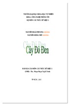 Bài báo cáo môn cấu trùc dữ liệu 2-cây đỏ đen