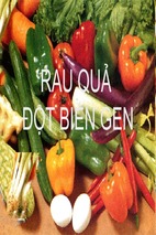 Bài báo cáo thảo luận-rau quả đột biến gen