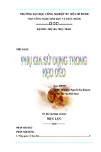 Bài báo cáo tiểu luận-phụ gia sử dụng trong kẹo kéo